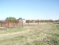 janssen performance horses farm